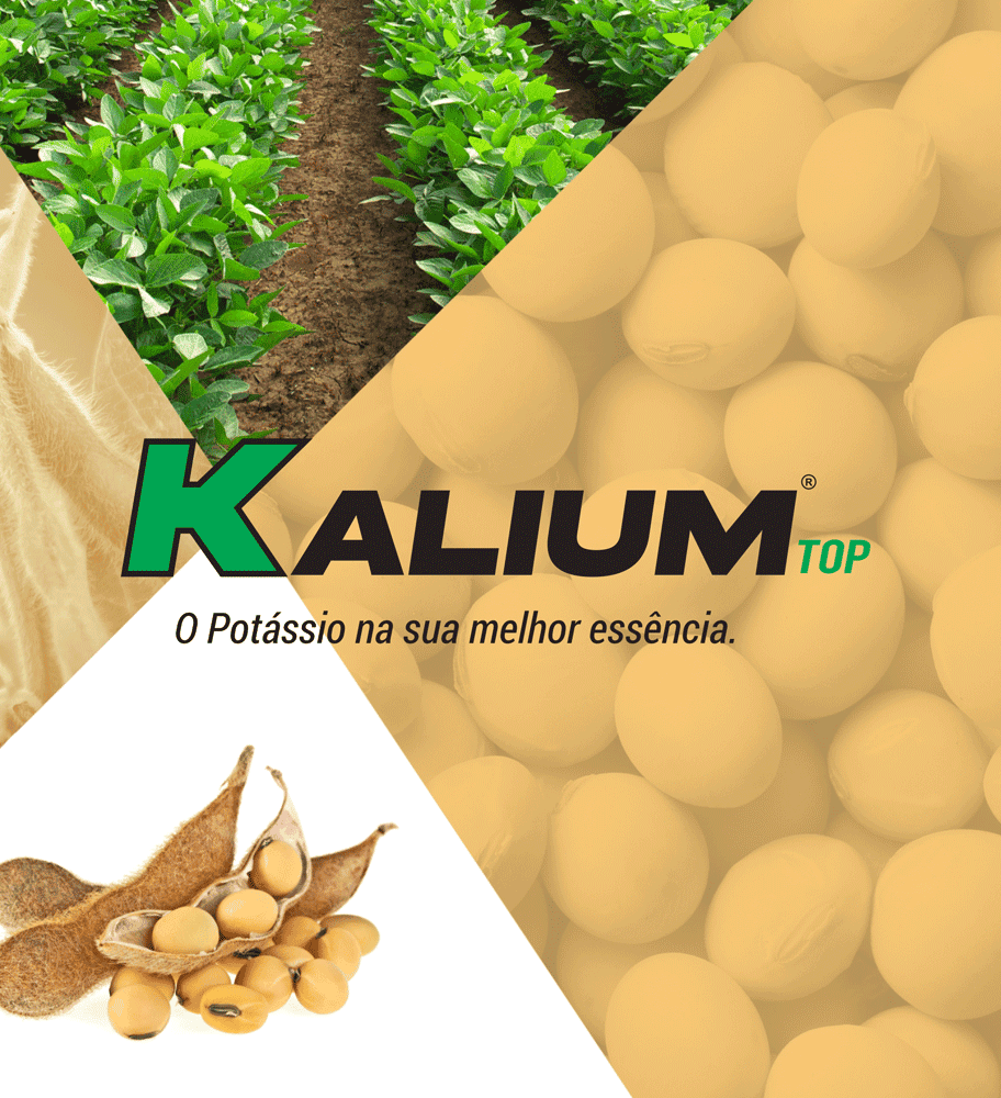 Kalium Top