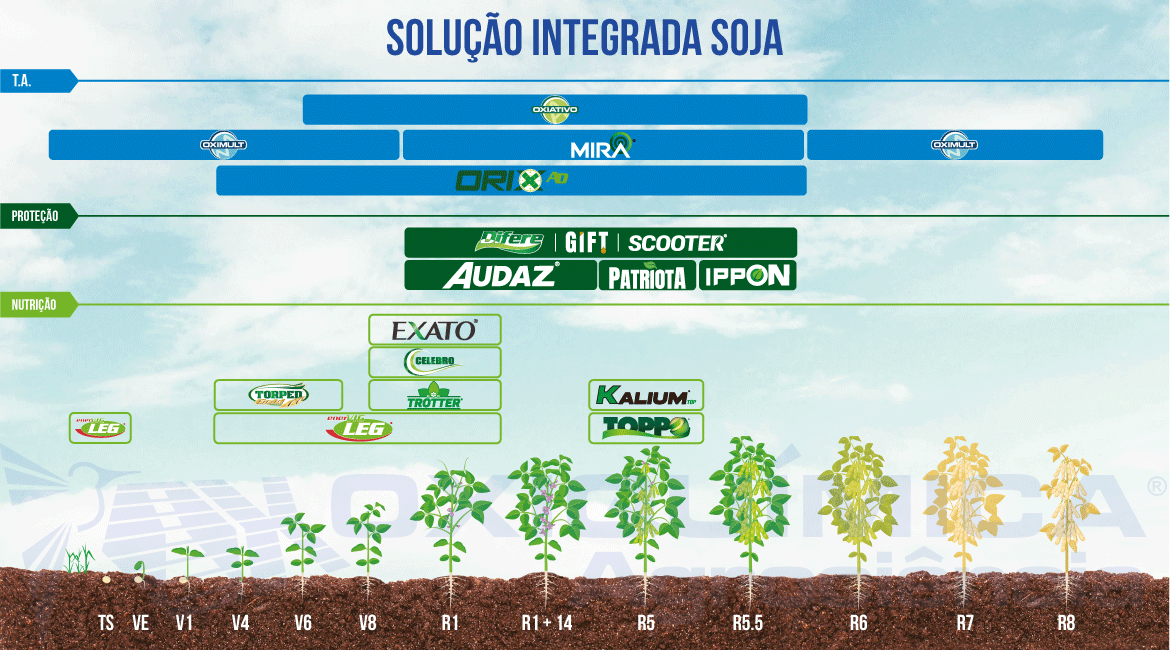 Soja