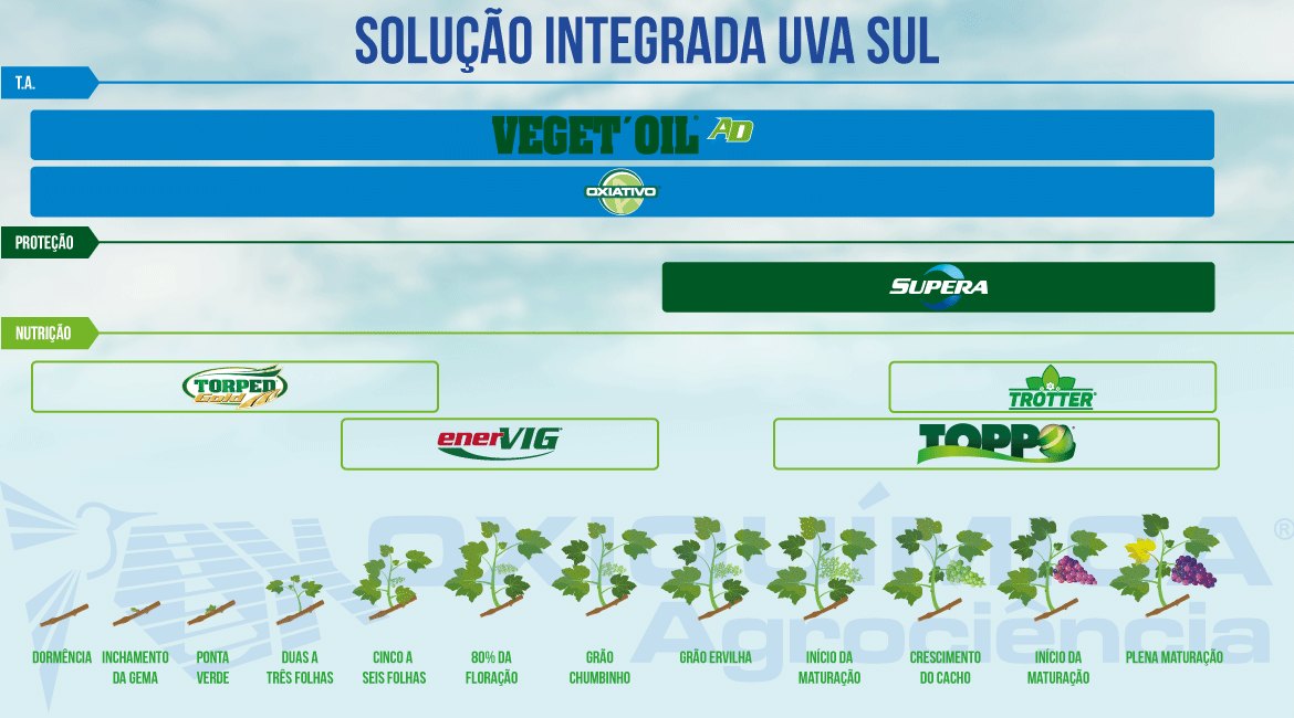 Uva Sul